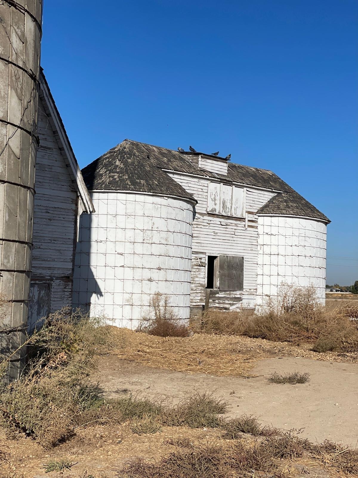 Ada County’s last dual grain silo stands at 820 Black Cat Road in Meridian. The silo represents Meridian’s agricultural past.