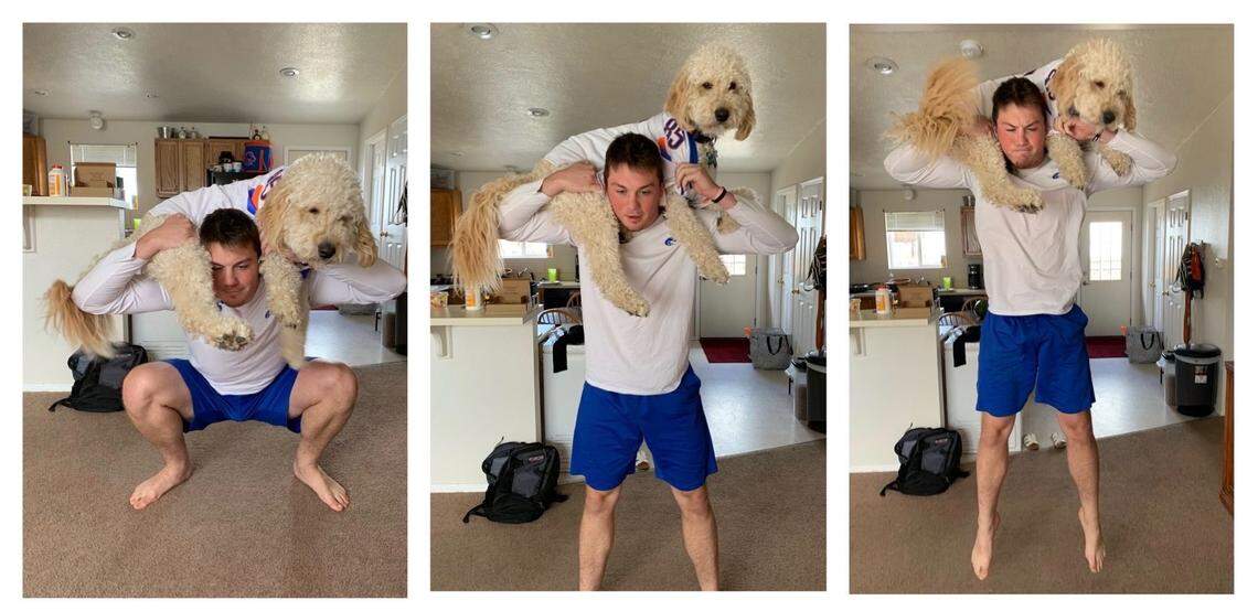 Boise State tight end John Bates does leaping squats with the help of his Golden Doodle, Winston.