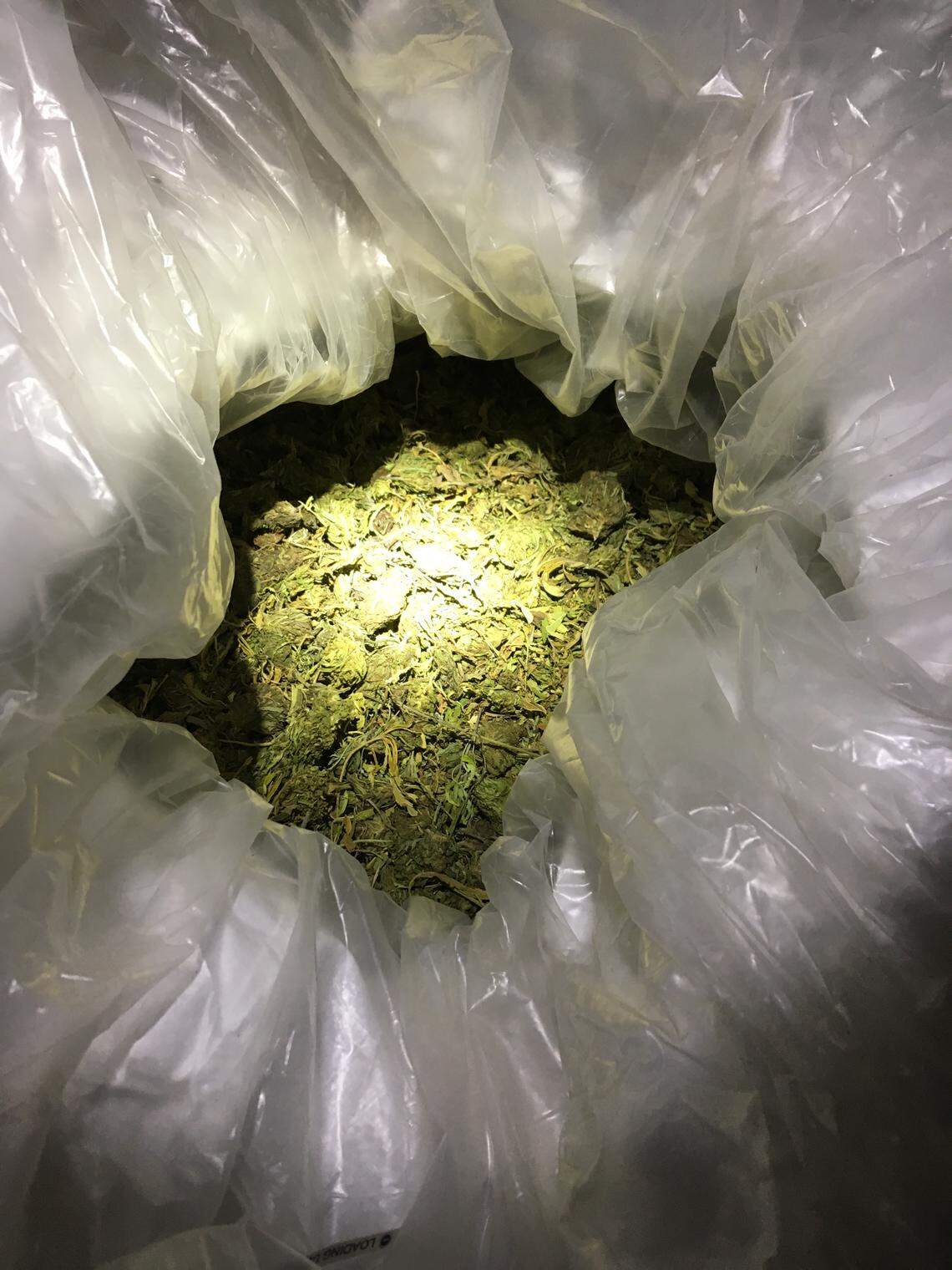 Cannabis found by Idaho State Police in a truck at the East Boise Port of Entry.