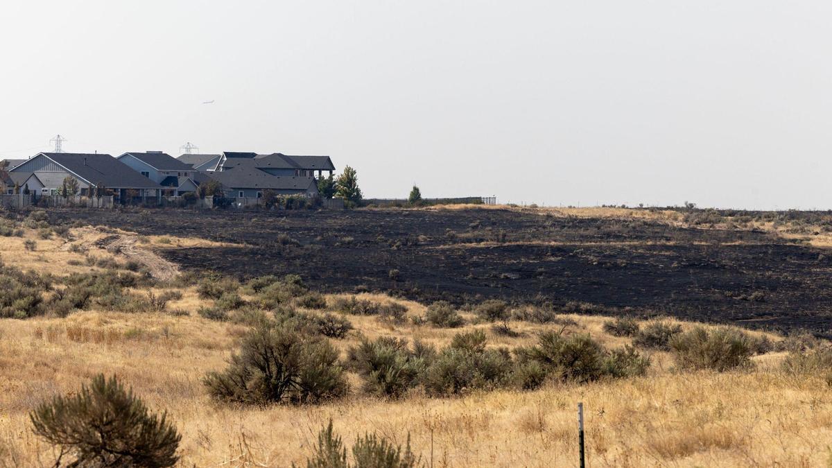 Firefighters prevented serious damage to homes from the Plex Fire near Idaho 21 on the canyon rim above the Boise River.