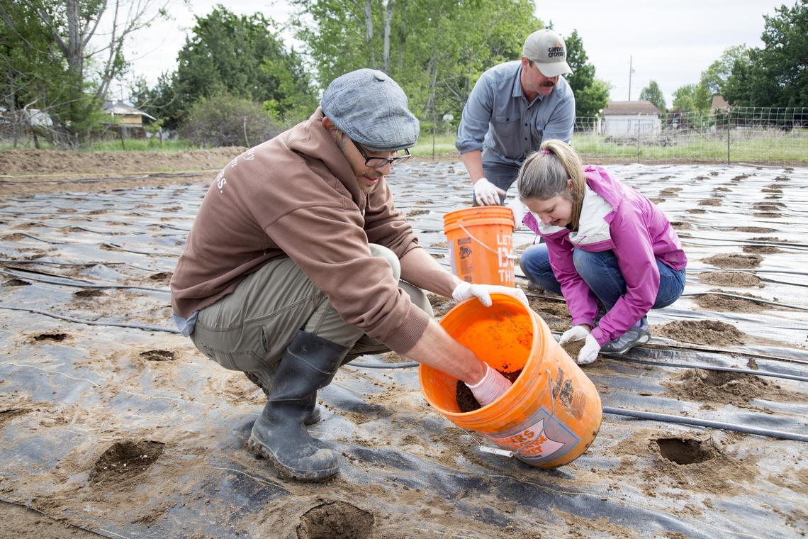The new owners of State & Lemp - Scott and Caitlin McCoy, right, and Executive Chef Christian Phernetton - are the team that owns and operates Camel's Crossing, an upscale bistro in Hyde Park. They prepare their new 6,000-square-foot garden, where they will grow produce for Phernetton's hyper-local menus.