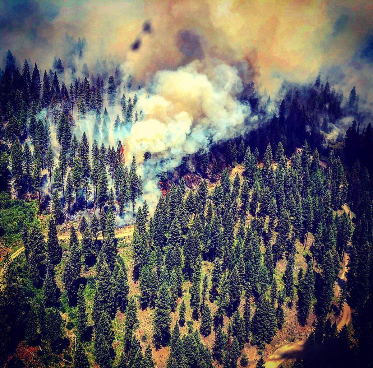 Photo of a backing fire to fight the Lodgepole Fire burning on the Boise National Forest