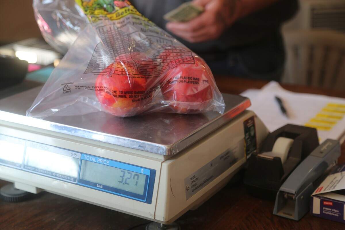 Bagged nectarines sit atop a scale at Symms Fruit Ranch in Caldwell.