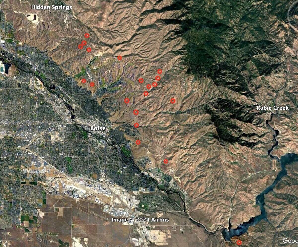 A map of the Boise Foothills shows areas marked in red where Boise goldenweed has been found. The newly identified species could see serious damage from the Claremont Fire.