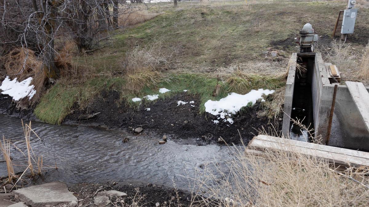 Water from Rattlesnake Creek is diverted into Percy Ranch in Mountain Home for irrigation.
