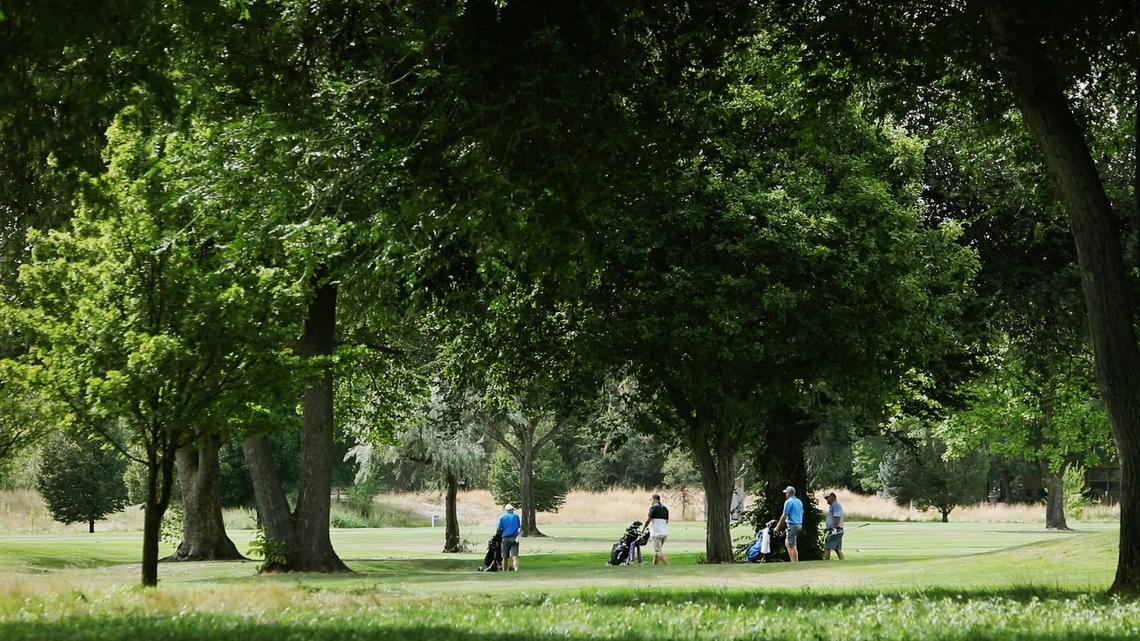 Plantation Golf Course is known for its stately trees, which will remain as part of the redesign, says Brian Curley, golf course architect.