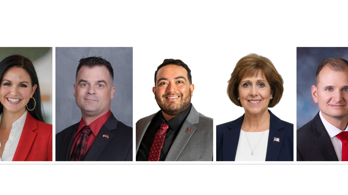 Who's running in Idaho Legislature's District 11 primary? Hear from the candidates