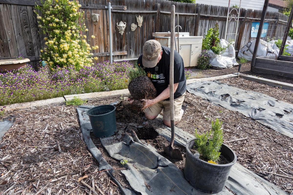 Hal Spencer started volunteering at Boise Vertical Farm after learning about the farm’s mission to employ community members recovering from substance abuse.