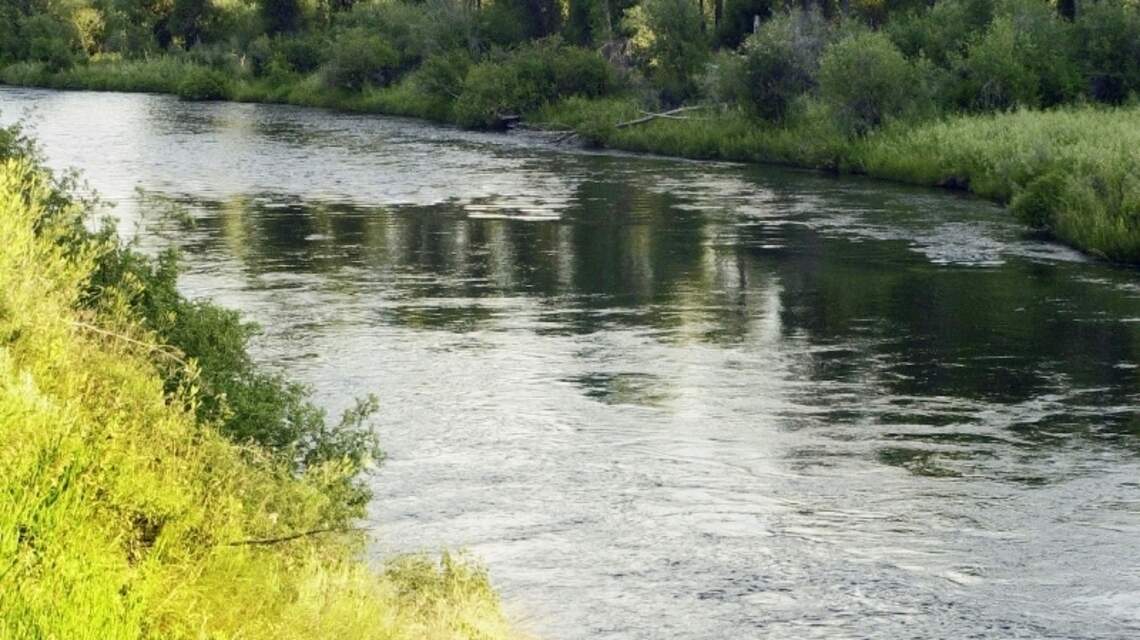Falls Campground (South Fork of the Snake River)