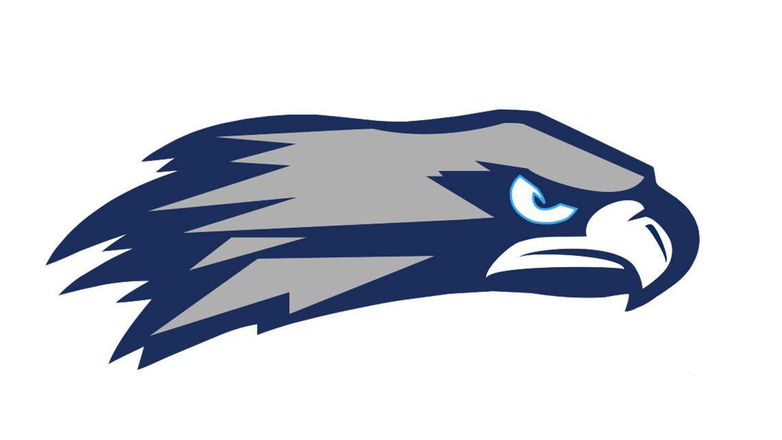 Idaho state baseball: Skyview upsets defending champ. Fruitland, Homedale advance