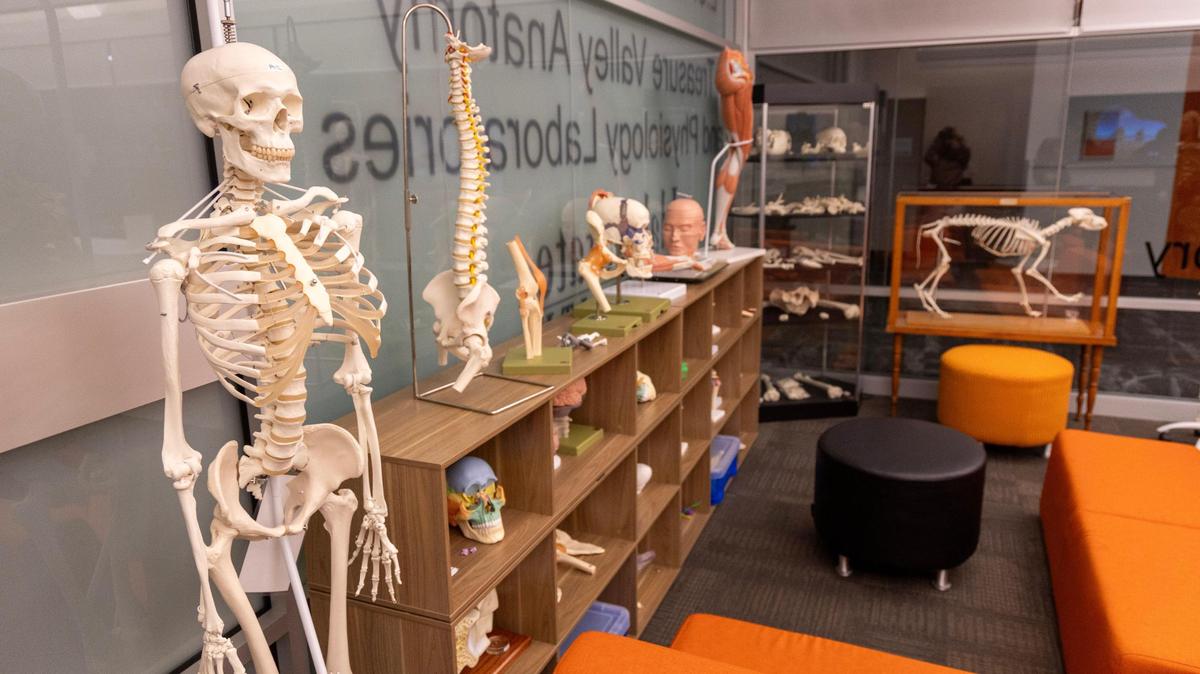 The L.S. and Aline W. Skaggs Treasure Valley Anatomy and Physiology Laboratories are housed inside the Idaho State University-Meridian campus.