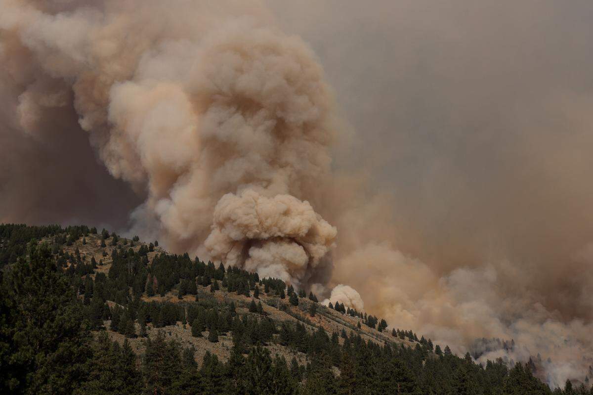 The Wapiti Fire was started by lightning on July 24, about two miles southwest of Grandjean.