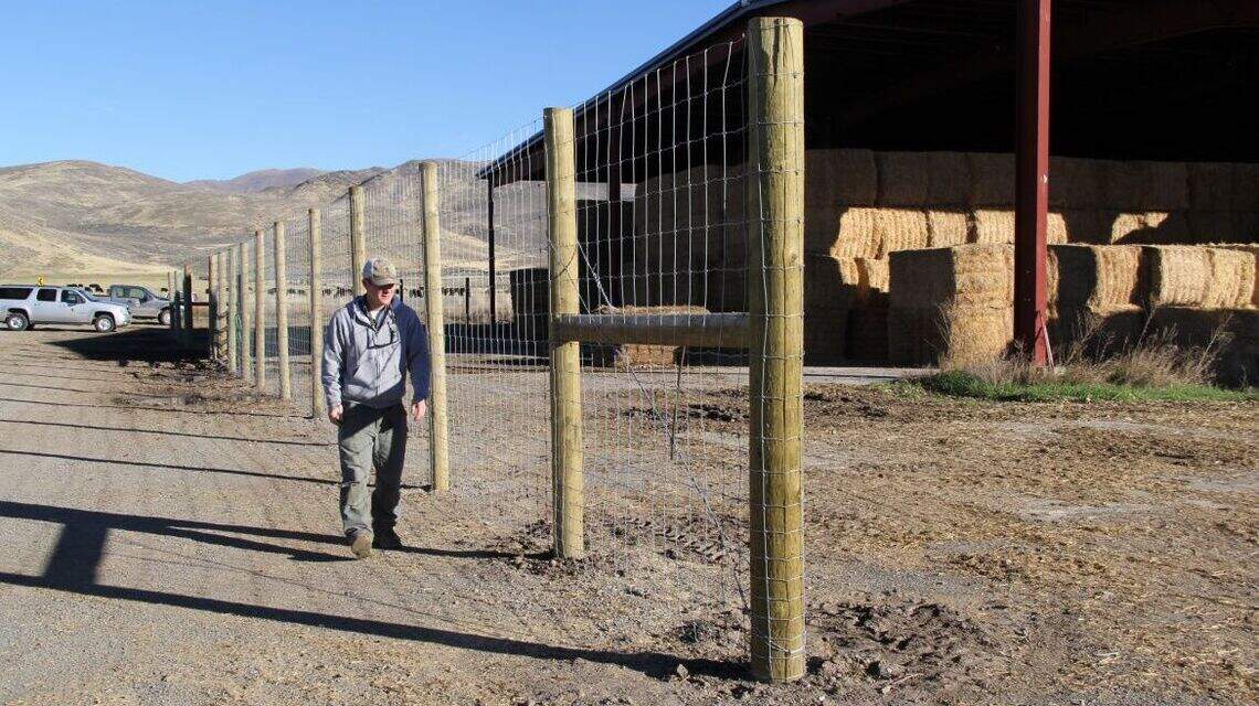 Idaho hunters, still angry over Fish and Game shooting 206 elk, look to change rules