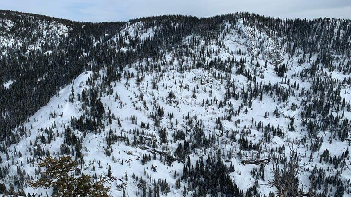 A backcountry avalanche slammed a skier into a tree near Steamboat Springs, Colorado, and killed him, authorities reported.
