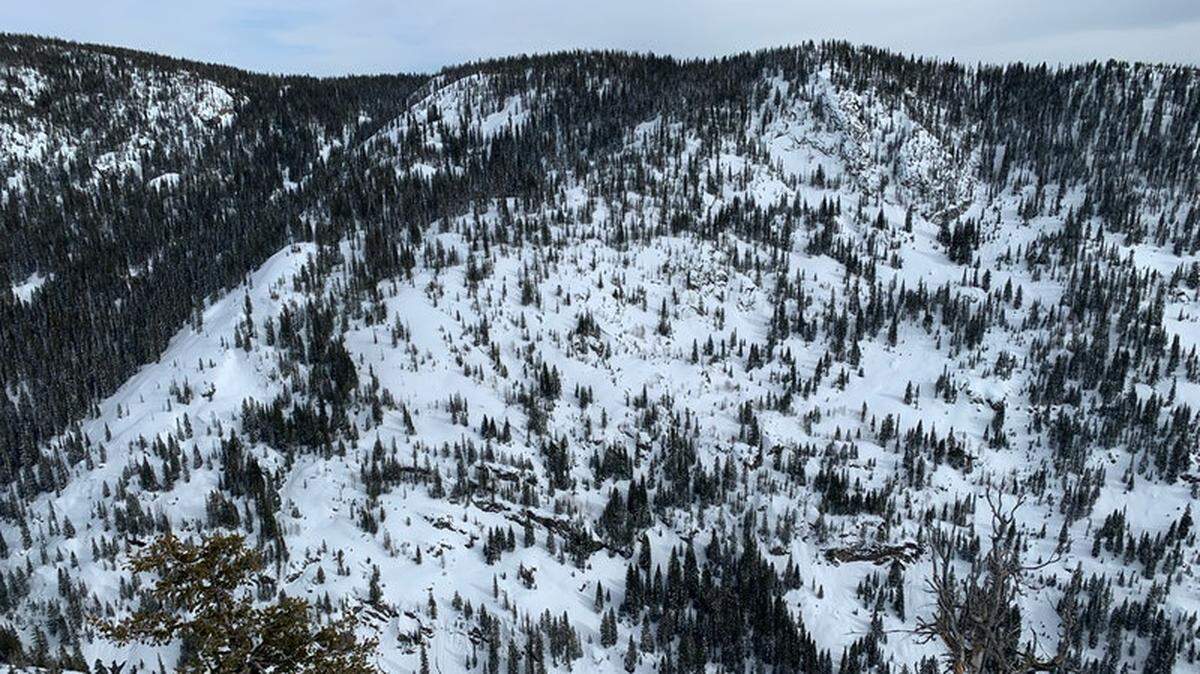 A backcountry avalanche slammed a skier into a tree near Steamboat Springs, Colorado, and killed him, authorities reported.