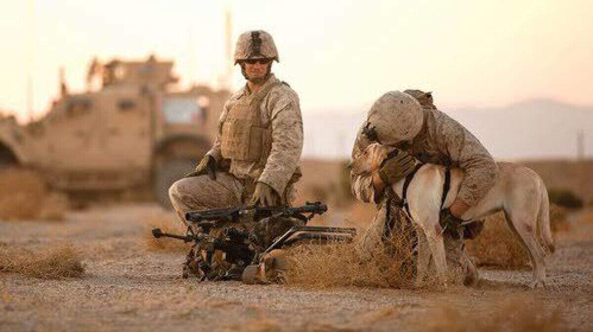 U.S. Marine Nick Montez hugs his bomb-sniffing dog, Mally, as fellow Marine Jared Hunter looks on in September 2011, during their last pre-deployment training exercise in California before shipping out to Afghanistan.