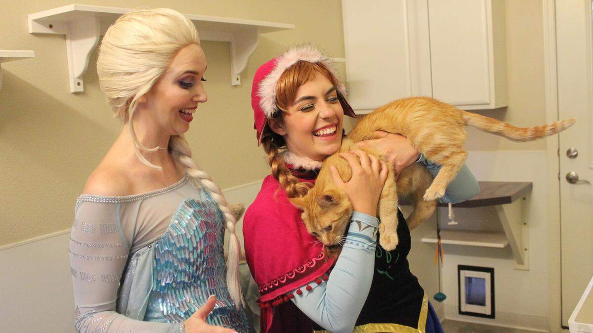 Don’t “Let It Go”: Enjoy tea, treats and kitty play time with Disney’s Queen Elsa and Princess Anna (Paige Szathmary) at the Princess Tea Party on Sunday, Aug. 12.