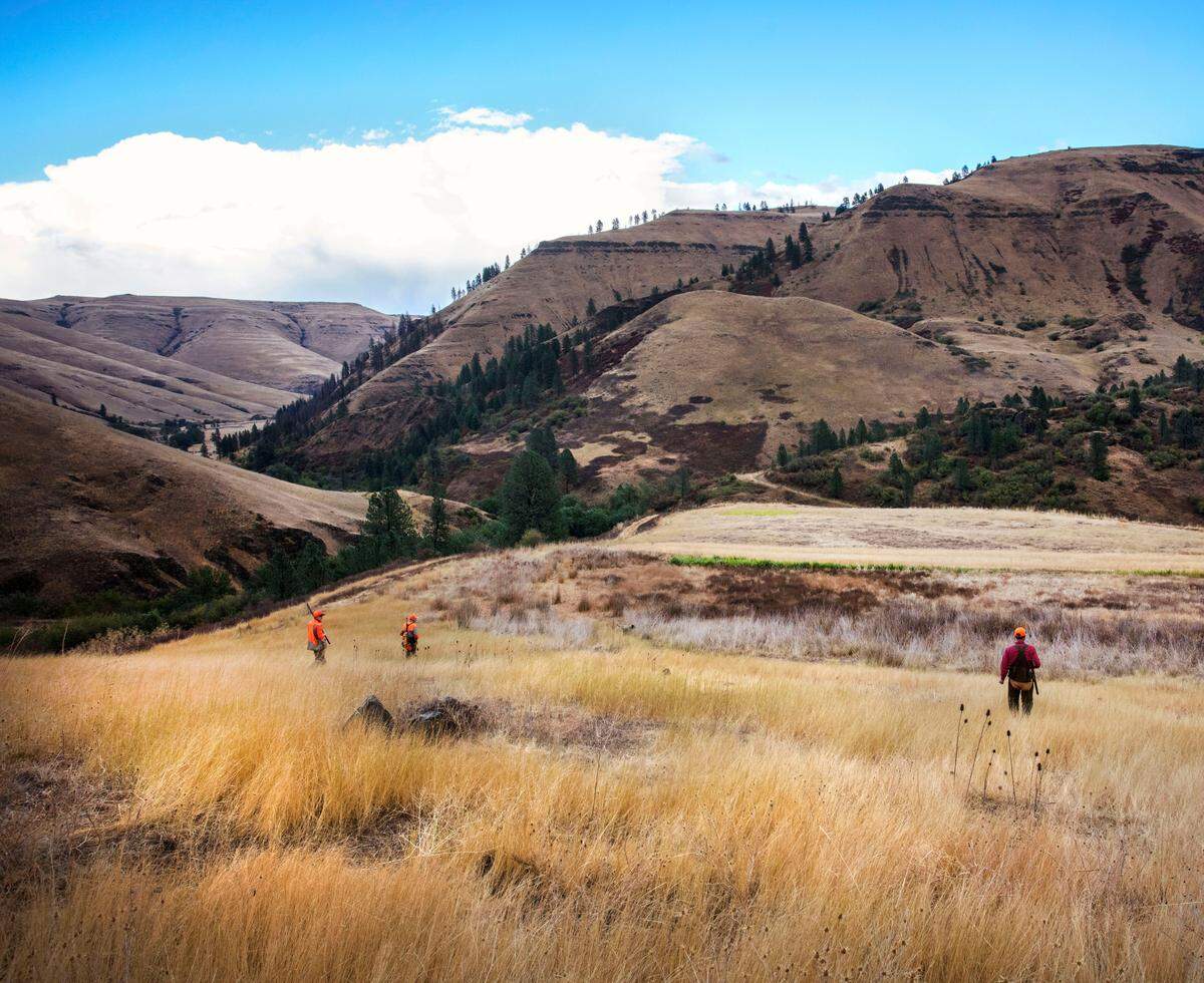 Wingshooters hunt with a professional guide on the Flying B Ranch property in Kamiah, Idaho.