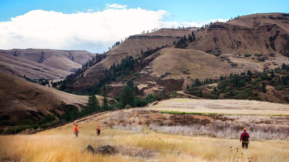 Wingshooters hunt with a professional guide on the Flying B Ranch property in Kamiah, Idaho.