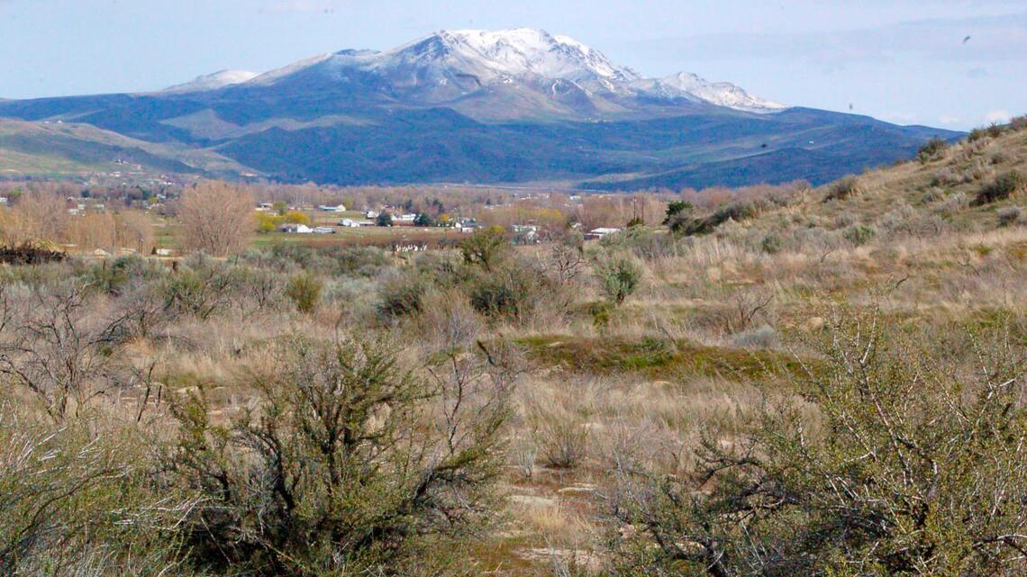 ‘S-word’ to disappear from Idaho’s mountains, creeks without state council input