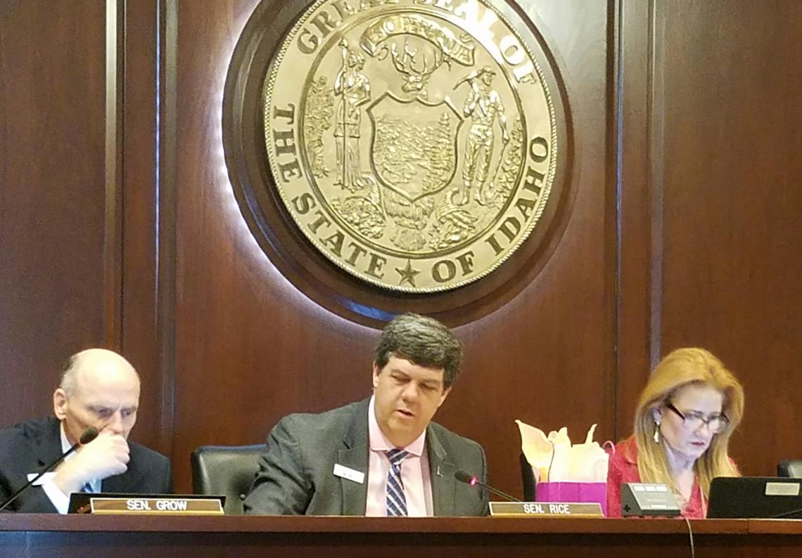 State Sen. JIm Rice, center, the chairman of the Senate Local Government and Taxation Committee, listens to testimony on a bill that would require a public vote when urban renewal money is used on municipal buildings or sports stadiums. Vice Chairman Scott Grow, R-Eagle, is at left. Committee secretary Carol Waldrip is at right.