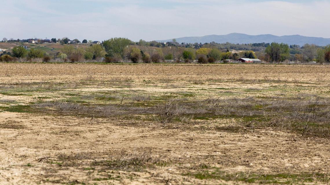 Fields to the north of ID-44, also known as State Street, along the Star-Middleton border, will be developed into the 300-acre Terramor subdivision over the next 15 to 20 years.