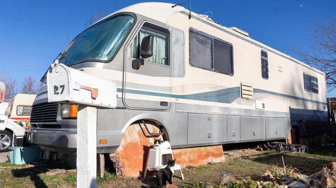 Two cats take in the afternoon sun in front of an RV in Elm Grove Mobile Home Park. The park is home to several dozen stray cats, who will also need to relocate when the park redevelops.