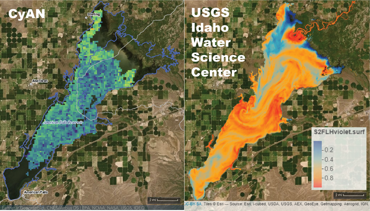 Side-by-side comparisons of data provided by the CyAN project (left; Idaho DEQ) and the USGS Idaho Water Science Center project (right). Both images of the American Falls Reservoir, near Pocatello, were not taken at the same time and thus do not depict the same data. However, note that the Idaho project image provides a much higher spatial resolution than what is available through CyAN.
