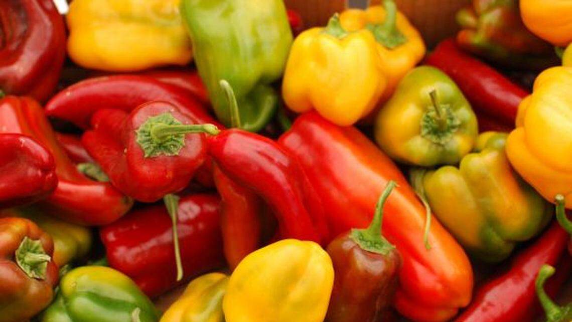 Gardening: The wide world of peppers, from sweet to hot. We grow these perennials as annuals.