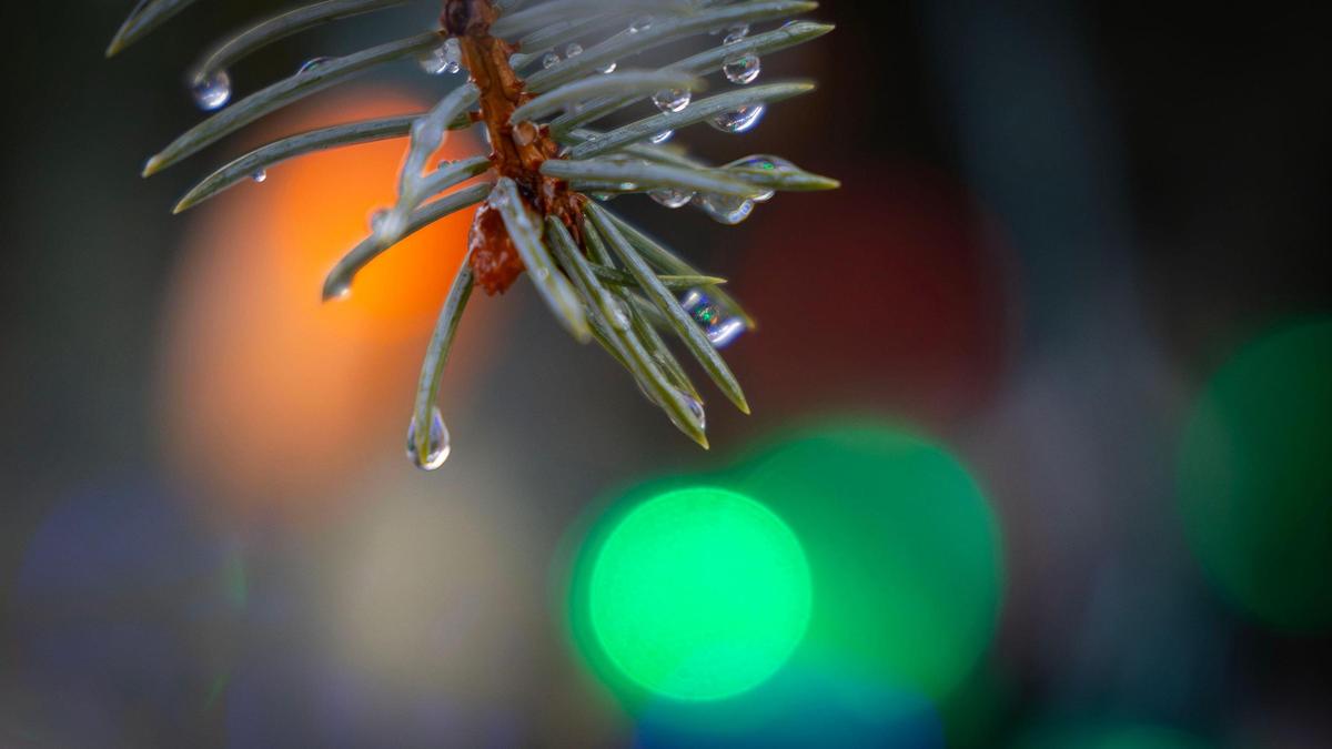 This year hasn’t seen any measurable snow yet.