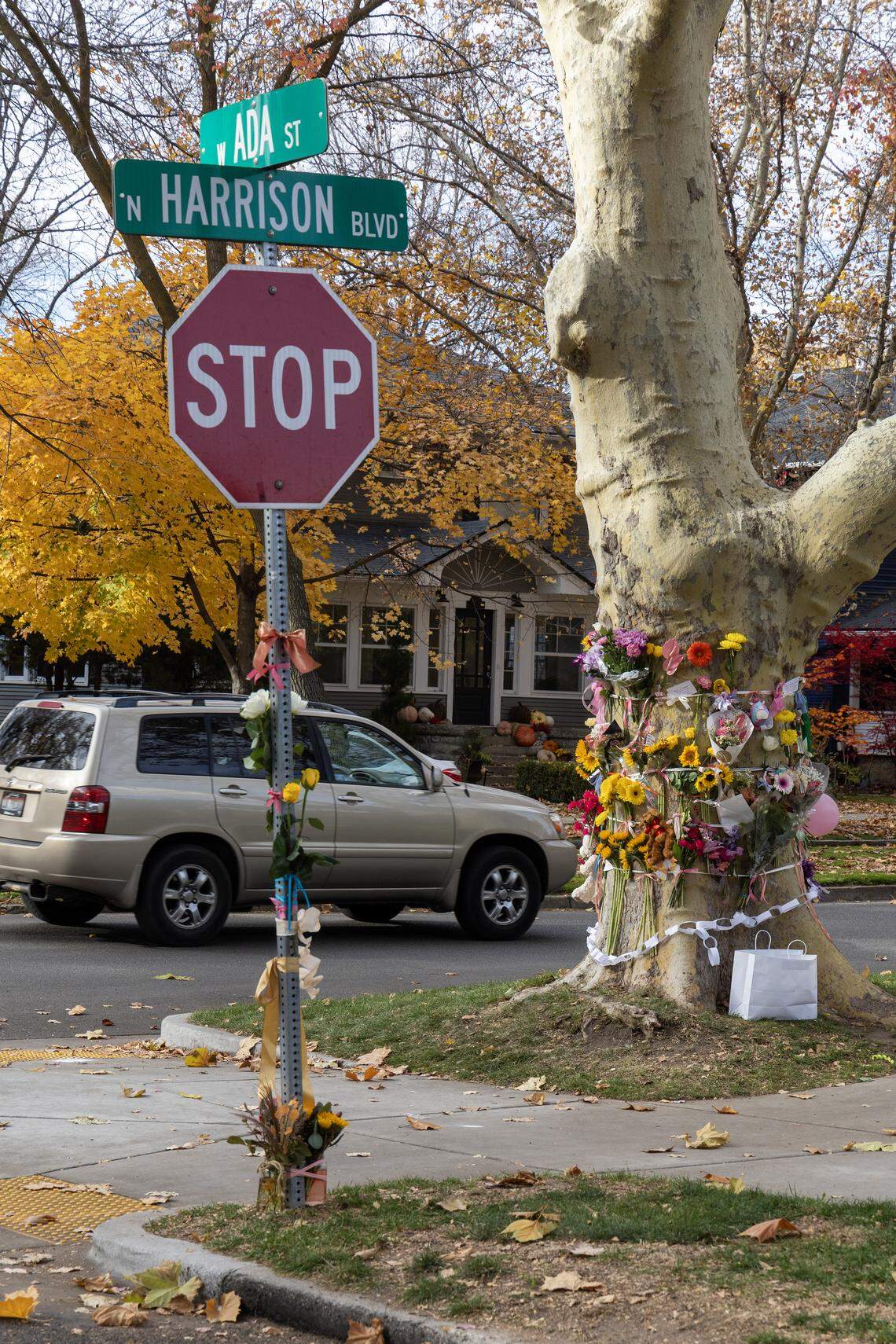 A memorial around a tree adorns the North End intersection of Harrison Boulevard and Ada Street the day after a young girl was fatally struck there by a pickup truck.