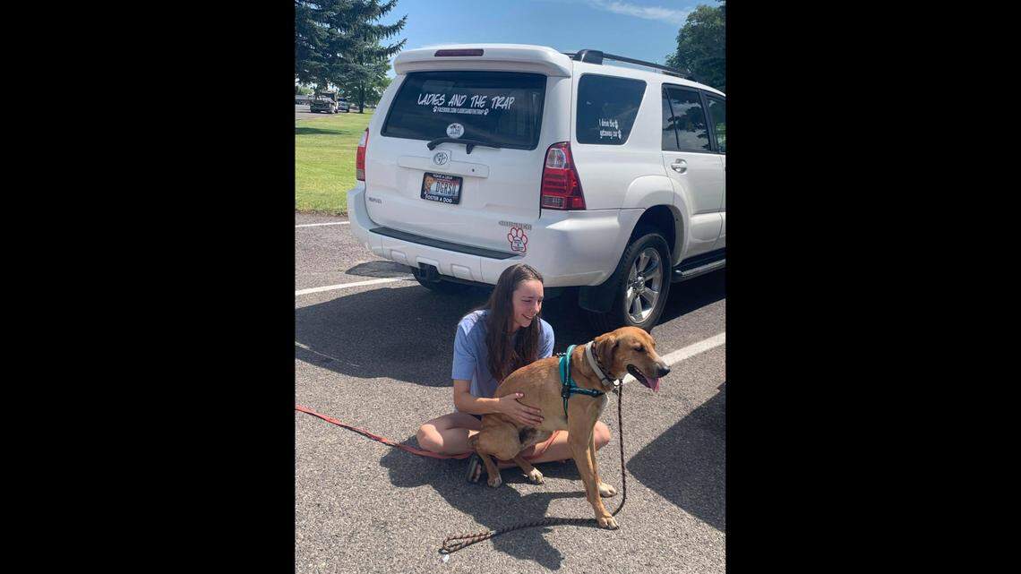 After 53 days missing in foothills around Boise, Idaho lost dog was found miles away