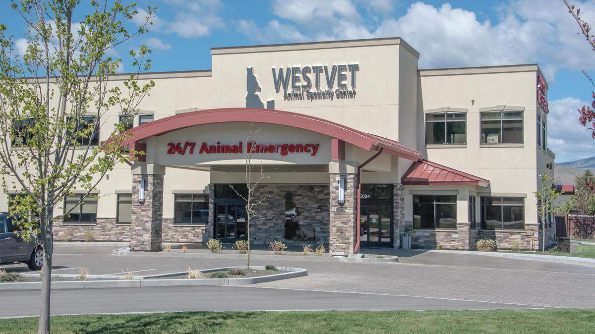 WestVet includes 21 board-certified specialists, 36 veterinarians and 24-hour emergency care.