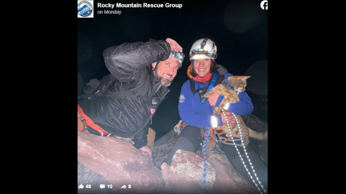 Link the “adventure cat” tagged along on a Colorado climb with her humans — and became trapped on a dark cliff, a photo shows.