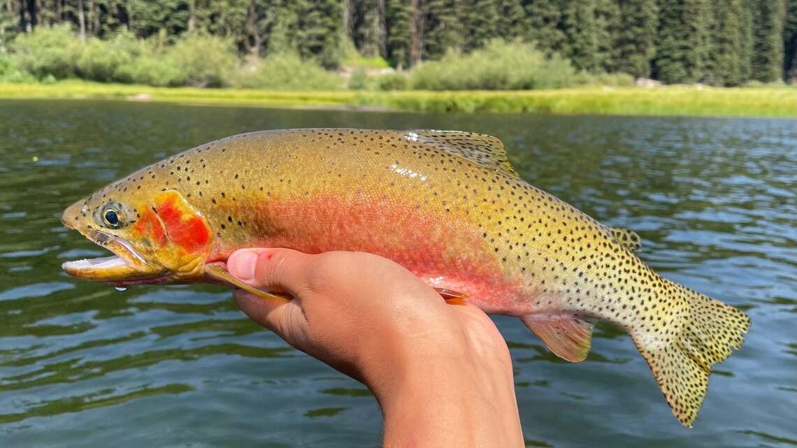 As fall approaches, it’s last call for fishing Idaho’s alpine lakes. Here’s what to know