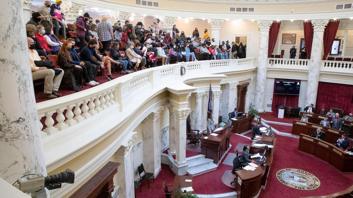 Idaho students filled the gallery as House Bill 377 was debated and passed by the Idaho Senate on April 26 at the Idaho Statehouse. Idaho needs to do a better job creating standards for teaching civics and history, according to a new report.