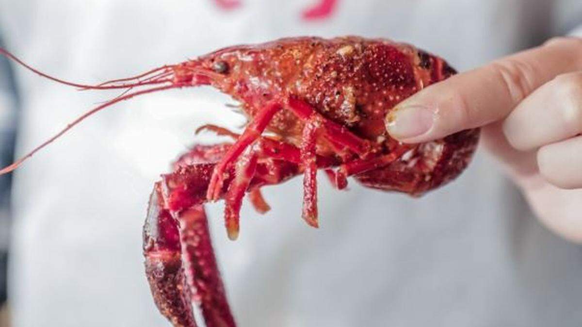 Craving crawfish? You’ll find plenty at Hook & Reel, a new Meridian restaurant.