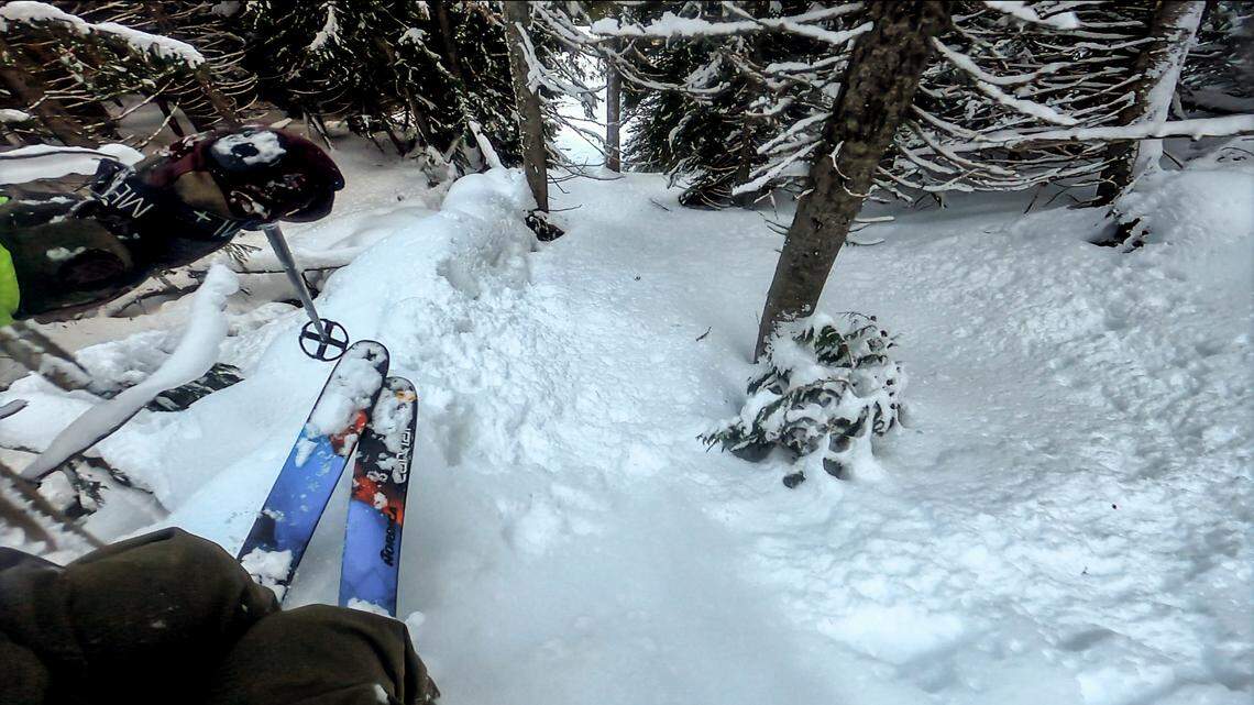 Essex Prescott skies a steep tree line.