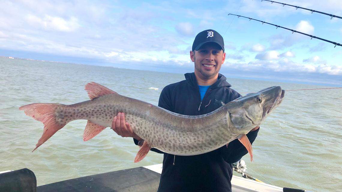 Landing a four-foot muskie on Lake St. Clair made it a happy Michigan homecoming for fishing columnist Jordan Rodriguez.