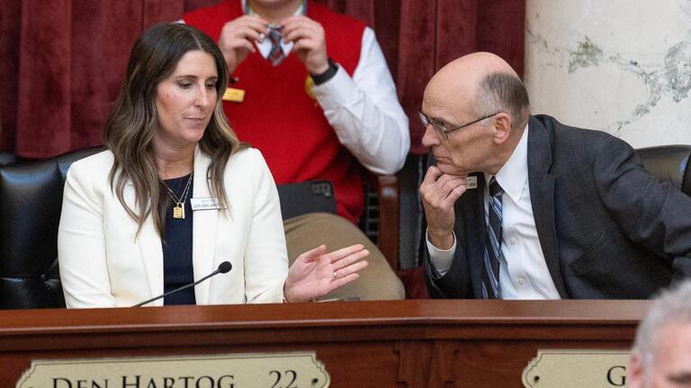 The bootlickers’ amendment: Idaho lawmakers want you to give up rights | Opinion