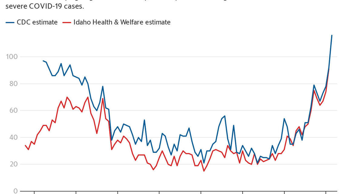 Idaho COVID-19 hospitalization data goes dark under Trump directive, at least for now