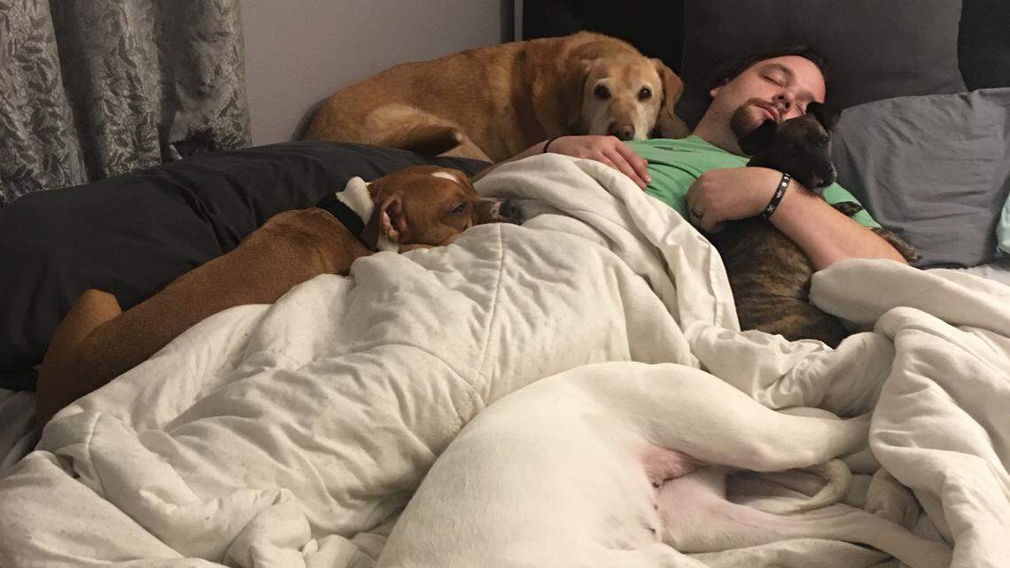 No cats allowed? Space is a premium on the Sundells’ bed. Two of the four dogs in this photo of Evan Sundell are foster dogs. “We kick them off the bed sometimes. We now have a couch at the foot of the bed, and that’s helped,” Brittany Sundell said.
