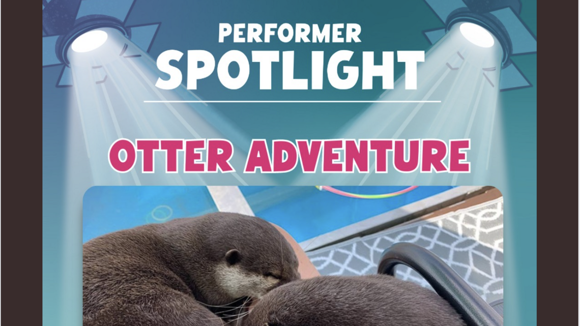 Otter show at Boise-area fair that closed violated law on animal welfare, feds confirm
