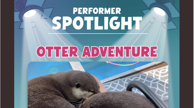 UPDATE: Otter show at Boise-area fair closes after reports of animal welfare violations