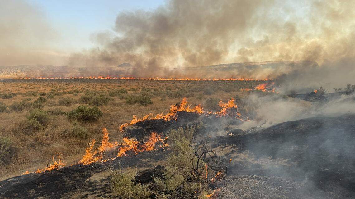 Idaho is the first state to try this new method to spot wildfires
