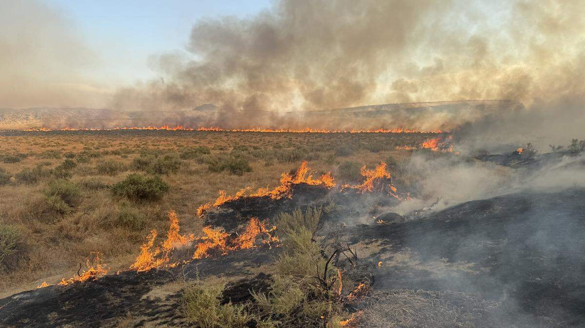 The Idaho Department of Lands is partnering with OroraTech to trial satellite wildfire detection technology to monitor for wildfires, like the one seen here.
