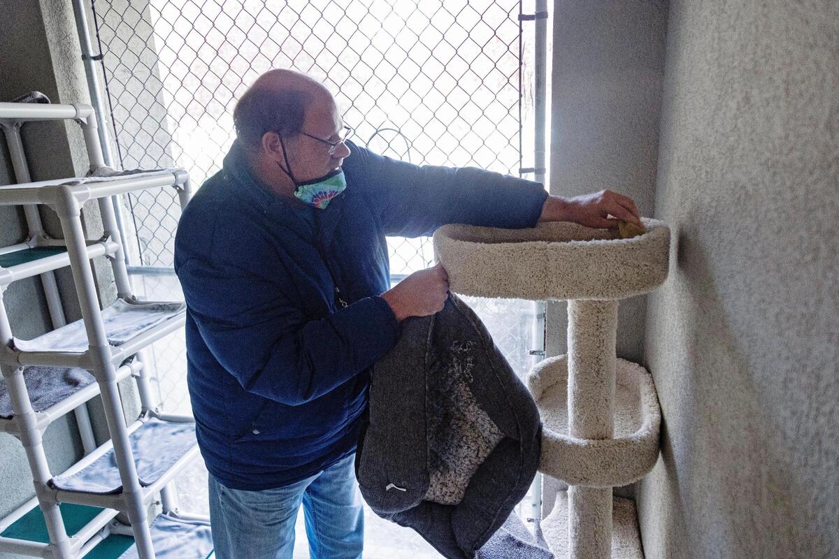 Brian Prosynchak, a man who has autism and obsessive-compulsive disorder, volunteers cleaning at a Boise cat shelter called Simply Cats. Cleaning at the cat shelter is one of many social and community activities planned for adults with developmental disabilities through Meridian Developmental Services where Prosynchak is a client.