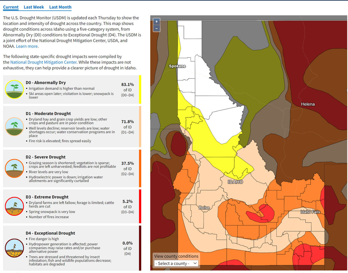 Boise is currently in a moderate drought, which is the second-lowest classification.