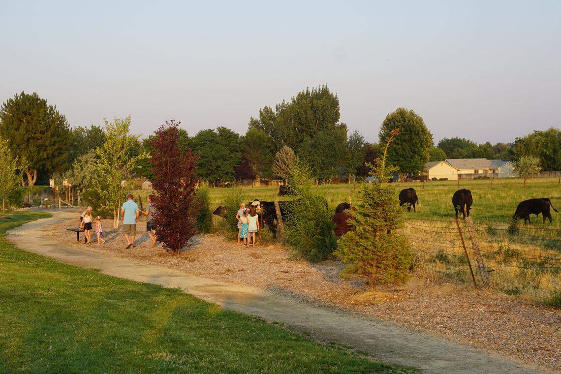 Families walk in Magnolia Park on Bogart Lane in the Old Hill Road neighborhood of North West Boise.