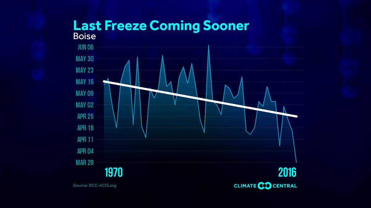 The average last freeze in Boise has gone from May 16 in 1970 to April 25 in 2016.